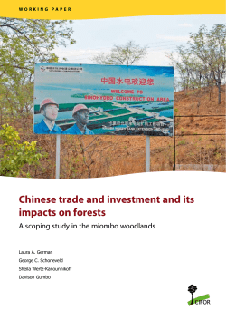 Chinese trade and investment and its impacts on forests