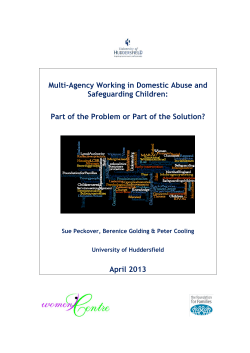 Multi-Agency Working in Domestic Abuse and Safeguarding Children