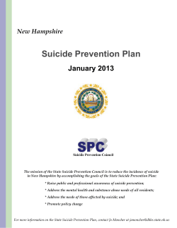 New Hampshire State Suicide Prevention Plan