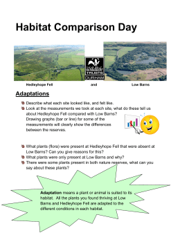 Habitat Comparison Day - Durham Wildlife Trust
