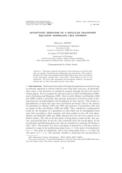 Asymptotic behavior of a singular transport equation modelling cell