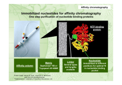 Immobilized nucleotides for affinity chromatography