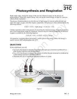 Photosynthesis and Respiration