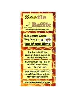Out of Your Hives!