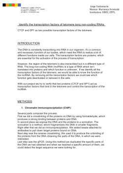 Identify the transcription factors of telomere long non