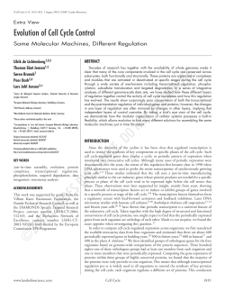 Evolution of Cell Cycle Control