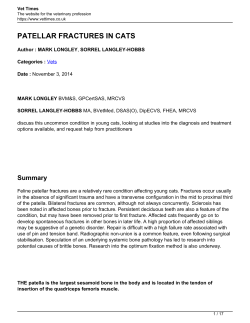 patellar fractures in cats