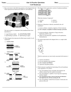 Name: Aim 14 Practice Questions Date: ______ Cell Membrane