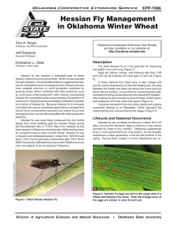 EPP-7086 (Hessian fly Management in Oklahoma Winter Wheat)