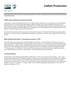 Catfish Production 02/05/2016 - USDA Economics, Statistics and