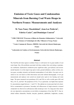 Emission of Toxic Gases and Condensation Minerals from Burning