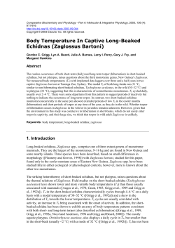 Body Temperature In Captive Long-Beaked Echidnas