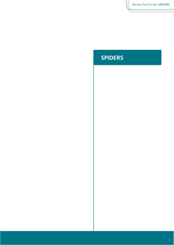 spiders - Beyond Fair Testing | Start