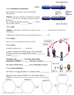 Metaphase I Anaphase I Meiosis *Define Homologous