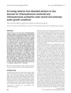 An energy balance from absorbed photons to new biomass for