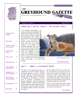 Adopting A Senior Hound - The Golden Years April &ndash; Adopt a