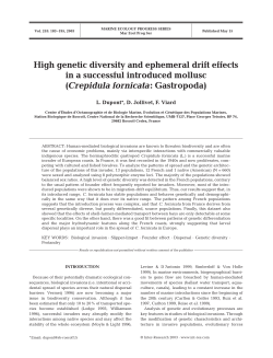 High genetic diversity and ephemeral drift effects in a successful