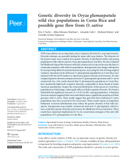 Genetic diversity in Oryza glumaepatula wild rice