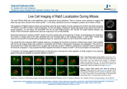 Live Cell Imaging of Rab5 Localization During Mitosis