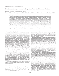 Jakobsen, Hans H., and Suzanne L. Strom. Circadian cycles in