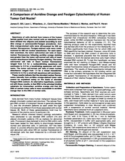 A Comparison of Acridine Orange and Feulgen