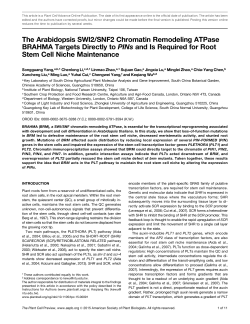 The Arabidopsis SWI2/SNF2 Chromatin