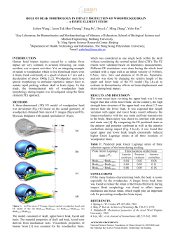 ROLE OF BEAK MORPHOLOGY IN IMPACT PROTECTION OF