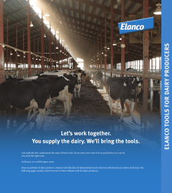 Dairy Product Brochure