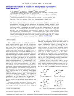 Dielectric relaxations in ribose and deoxyribose supercooled water