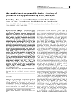 Mitochondrial membrane permeabilization is a critical step