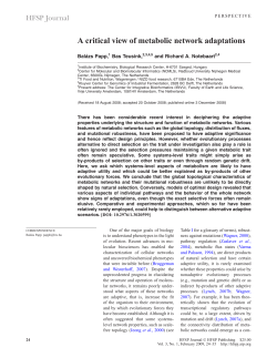 A critical view of metabolic network adaptations