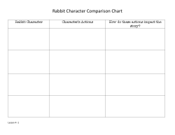 Rabbit Character Comparison Chart