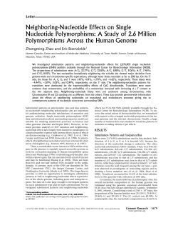 Neighboring-Nucleotide Effects on Single Nucleotide