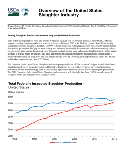 Overview of the United States Slaughter Industry