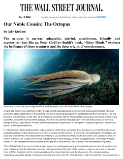 Our Noble Cousin: The Octopus
