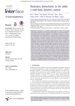 Masticatory biomechanics in the rabbit: a multi