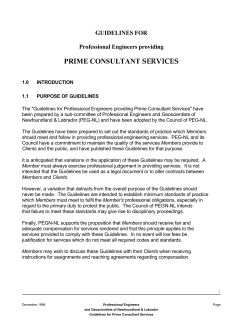 prime consultant services