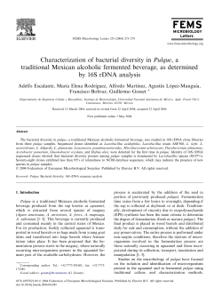 Characterization of bacterial diversity in Pulque, a traditional