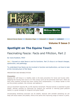 Spotlight on The Equine Touch Fascinating Fascia: Facts and