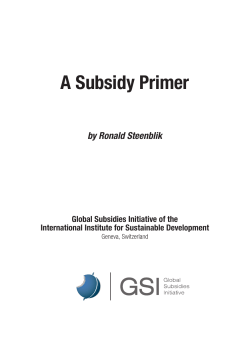 A Subsidy Primer - International Institute for Sustainable Development