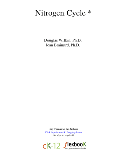 Nitrogen Cycle - cloudfront.net