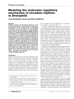 Modeling the molecular regulatory mechanism of circadian rhythms