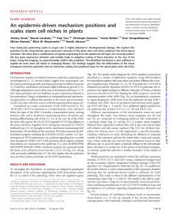 An epidermis-driven mechanism positions and scales stem cell