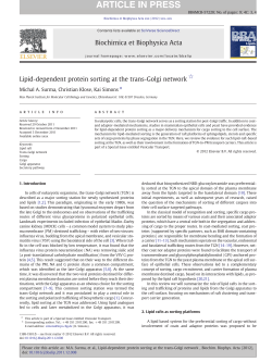 Lipid-dependent protein sorting at the trans