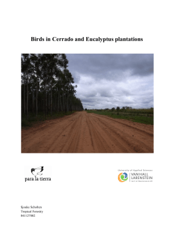 Birds in Cerrado and Eucalyptus plantations