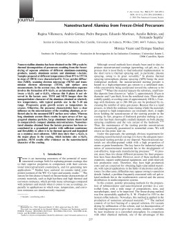 Nanostructured Alumina from FreezeDried Precursors