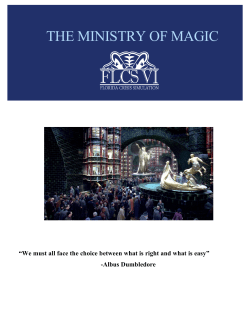 the ministry of magic - Florida Crisis Simulation VII