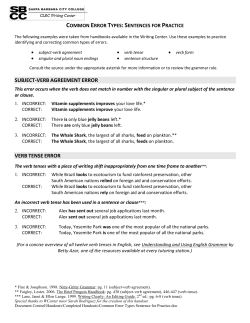 Common Error Types Sentence for Practice