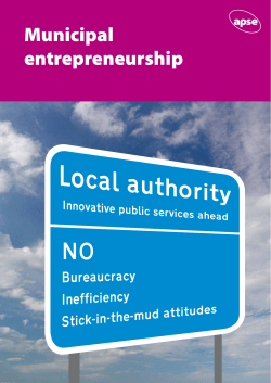 Municipal entrepreneurship