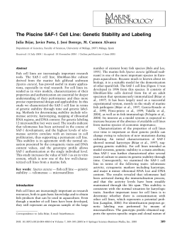 The Piscine SAF-1 Cell Line: Genetic Stability and Labeling